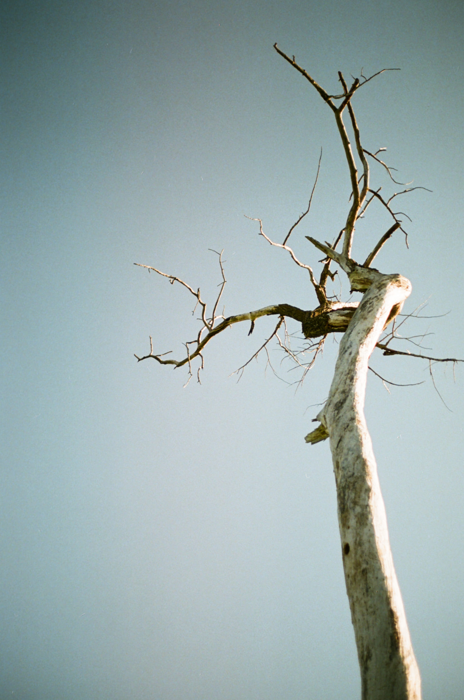 Untitled 35mm photograph by Christian Kostyniuk, frame 2