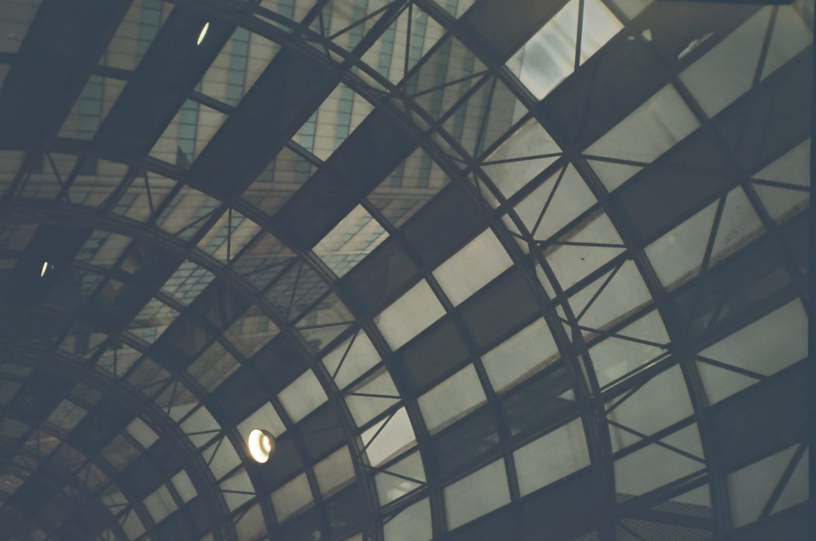 Untitled 35mm photograph by Christian Kostyniuk, frame 3