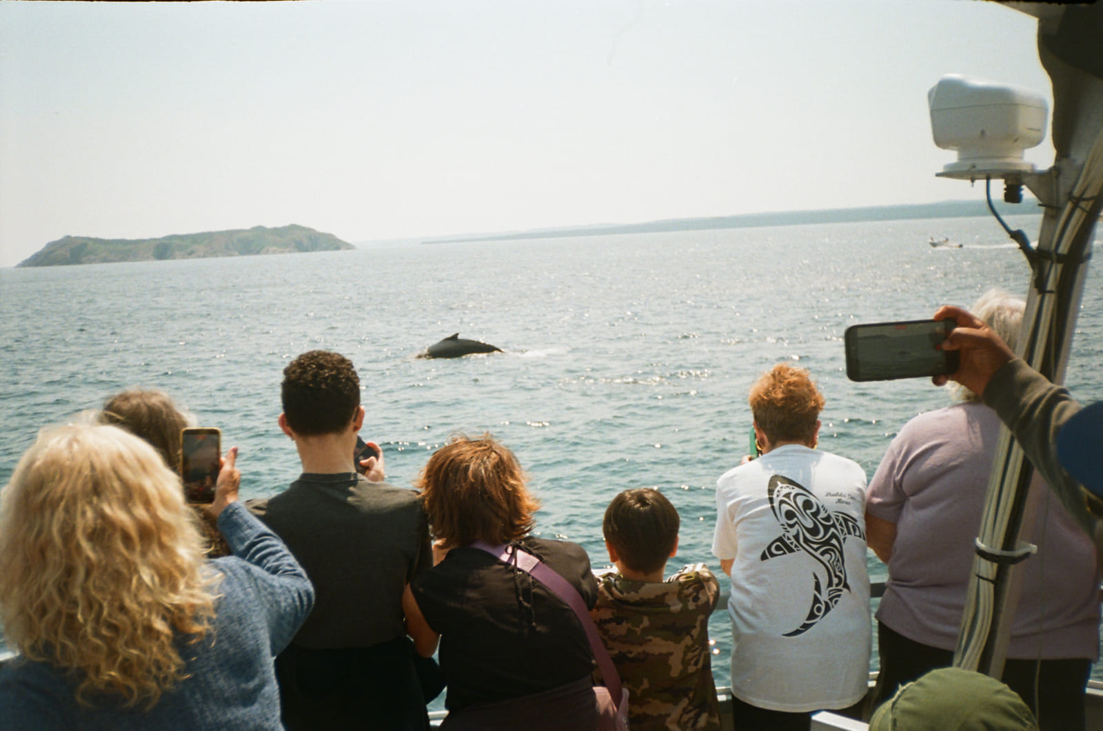 Untitled 35mm photograph by Christian Kostyniuk, frame 6