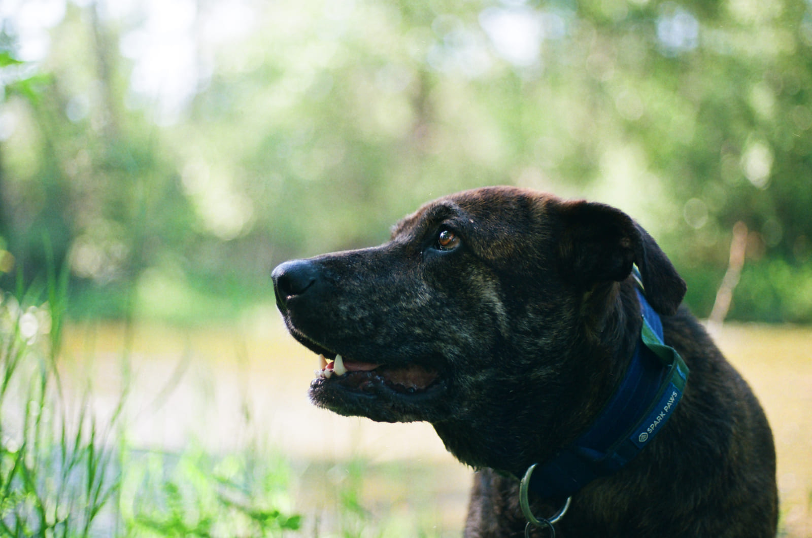 Untitled 35mm photograph by Christian Kostyniuk, frame 9