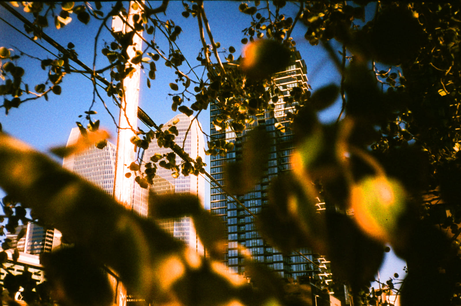 Untitled 35mm photograph by Christian Kostyniuk, frame 17